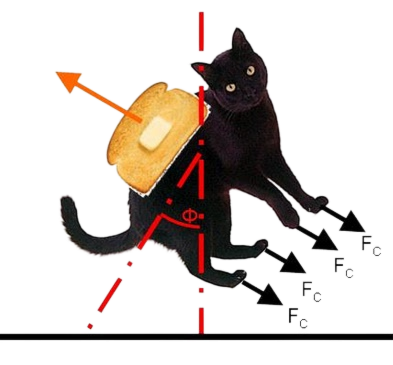 Force diagram: a cat with buttered toast, showing rotation angle phi and centrifugal forces